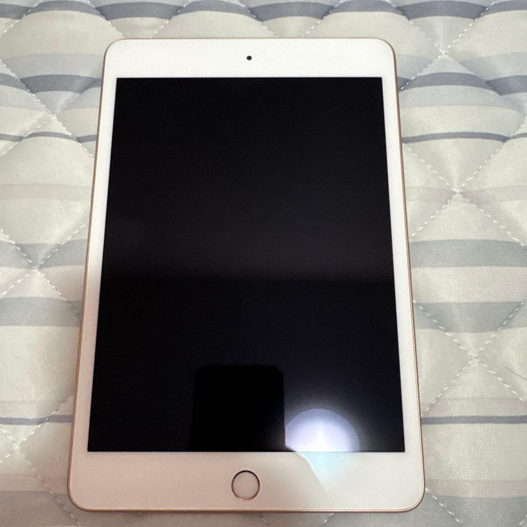 2524極美品新品級☆電池最良好☆iPad mini5 64GB WIFIモデル