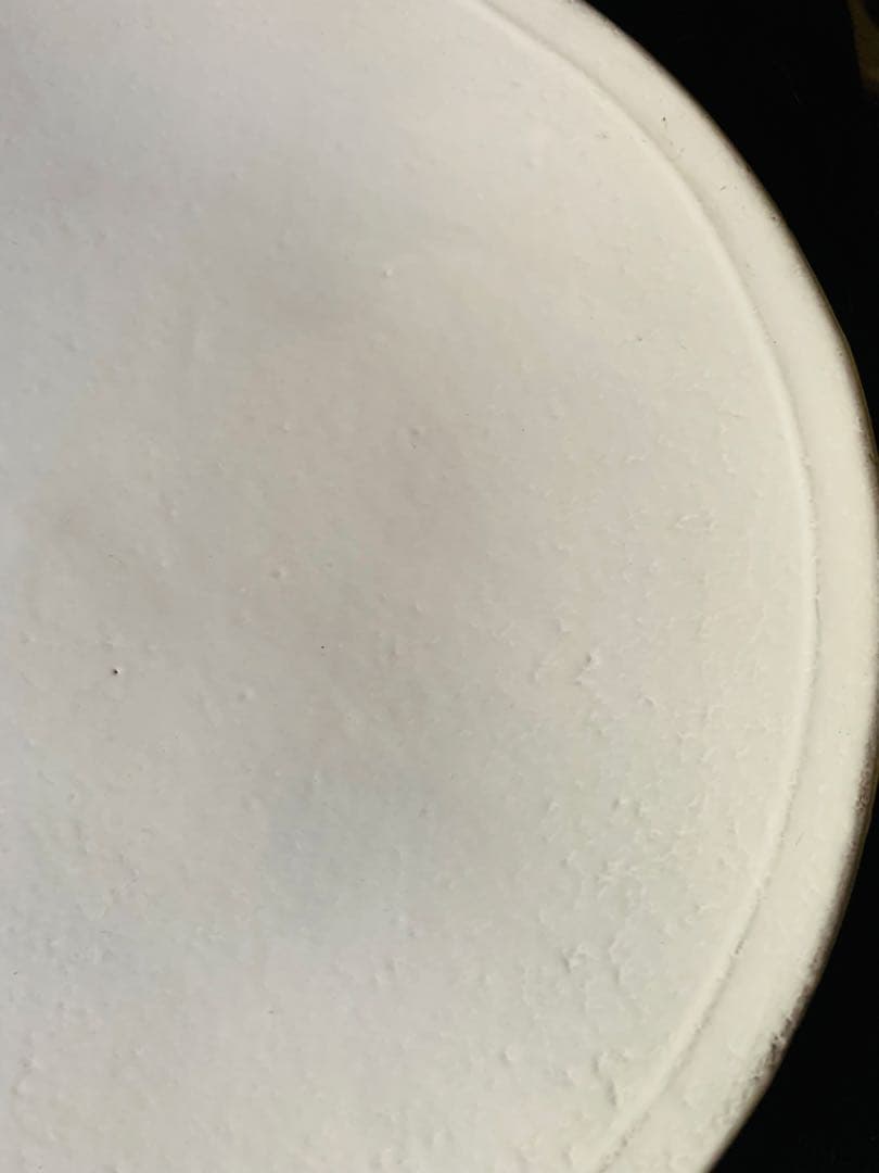 アスティエシンプルディナープレート