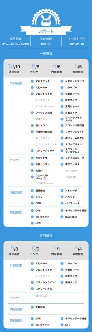 a*a様 動作確認済み iPhone 16 Plus 256GB バッテリー94