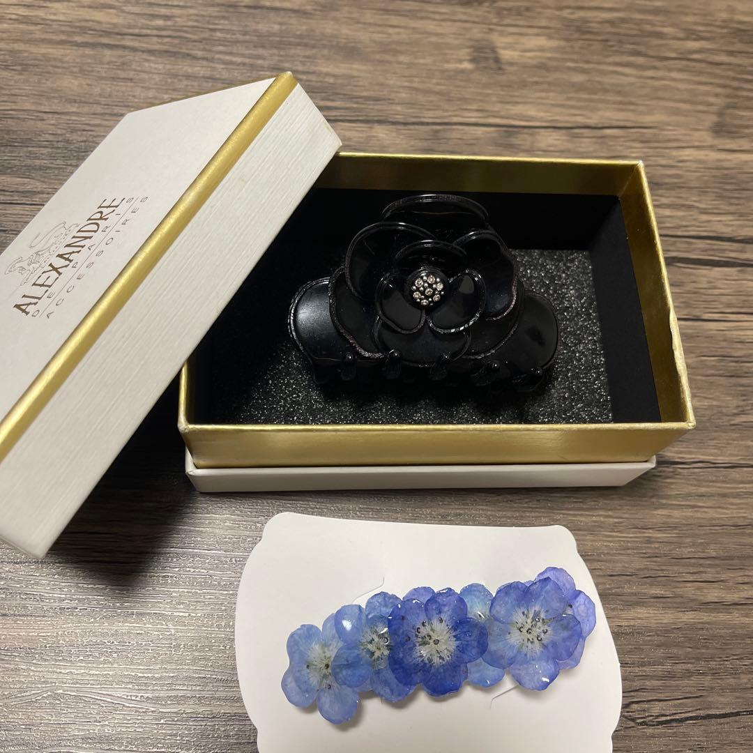 【最終価格】アレクサンドルドゥパリ 限定品 スワロフスキー バレッタなど