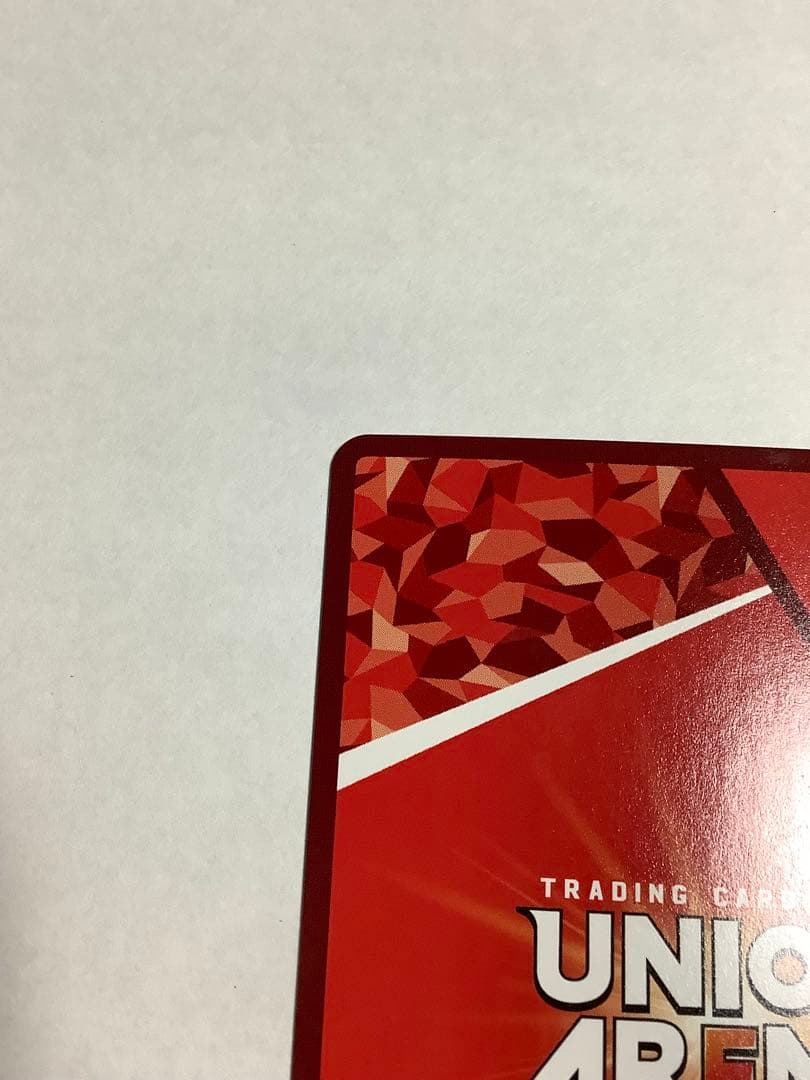 ハンドメイド硬質ケース付き　ユニオンアリーナ　リーファ　テラリア　星2　パラレル