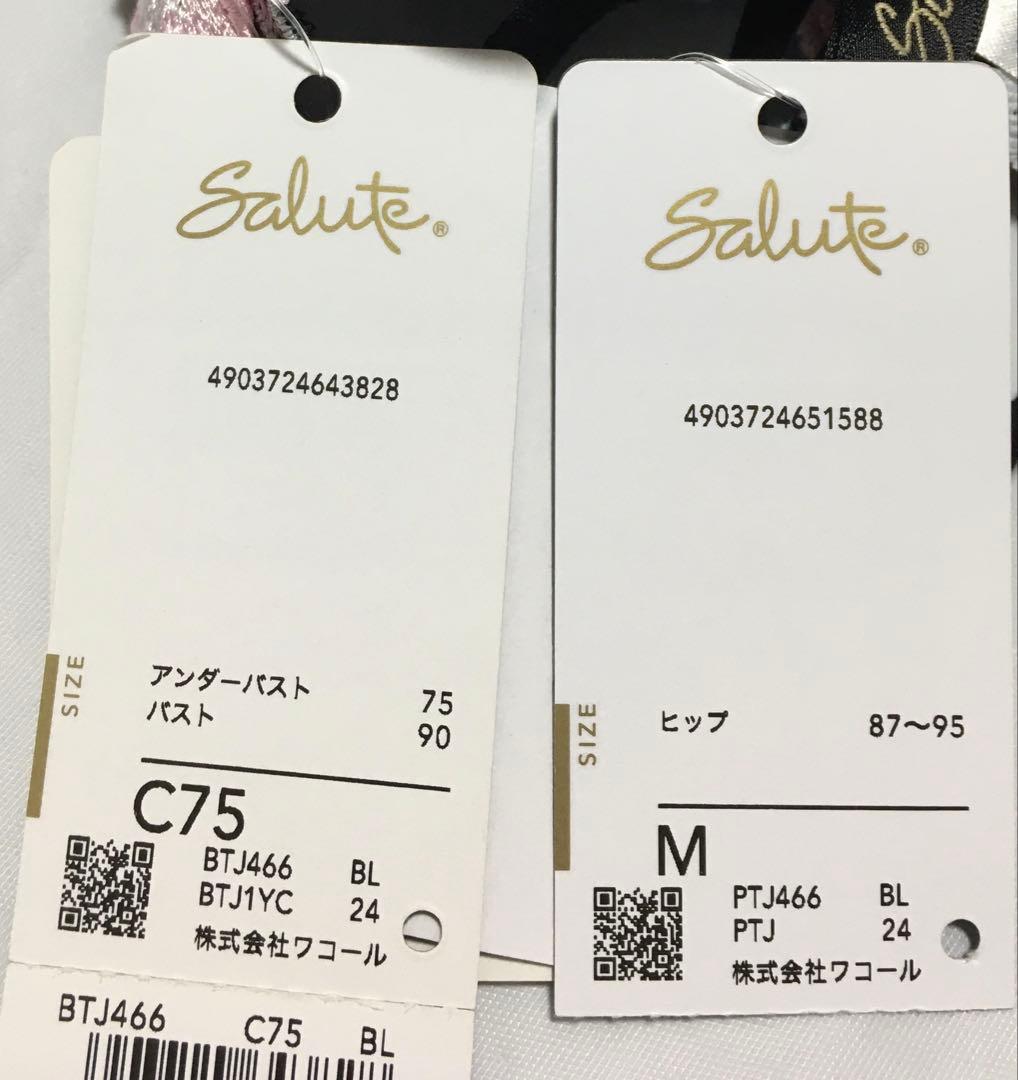 新品　ワコール　サルート 66G ブラジャーC75 ソングM
