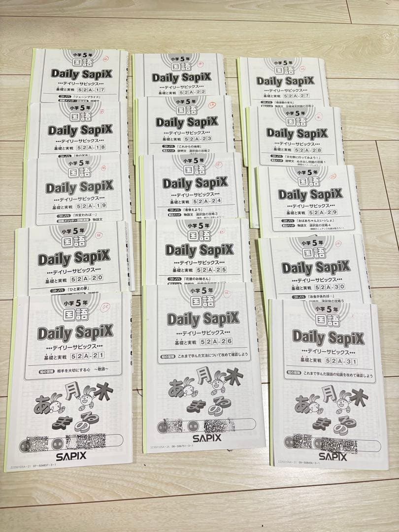 Sapix 五年　国語　フルセット