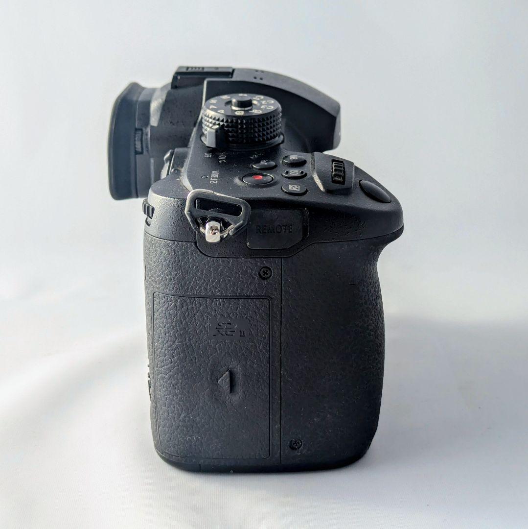 パナソニック GH5 レンズセット（箱・ケージ付き）