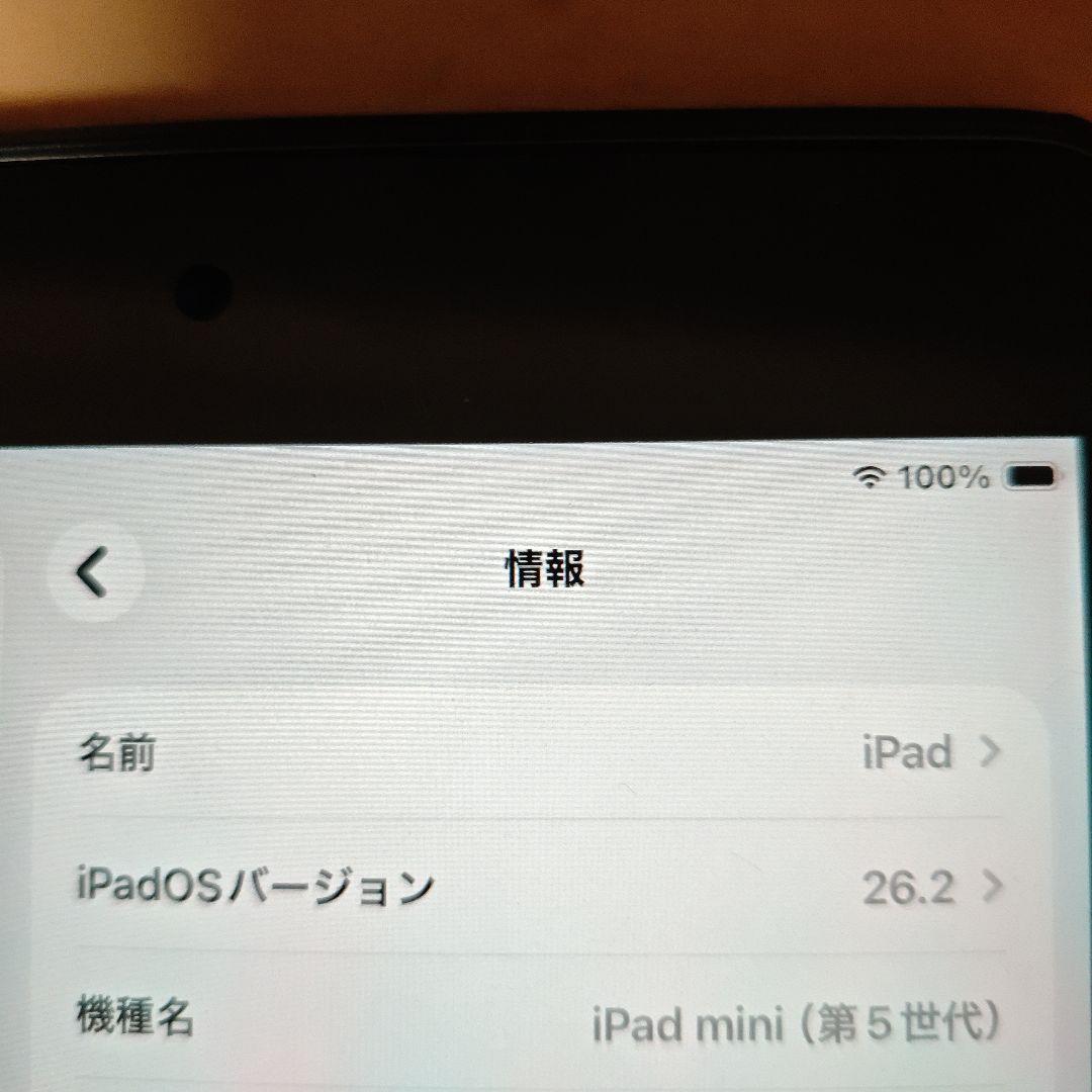 iPad mini (第5世代) 本体　256gモデル
