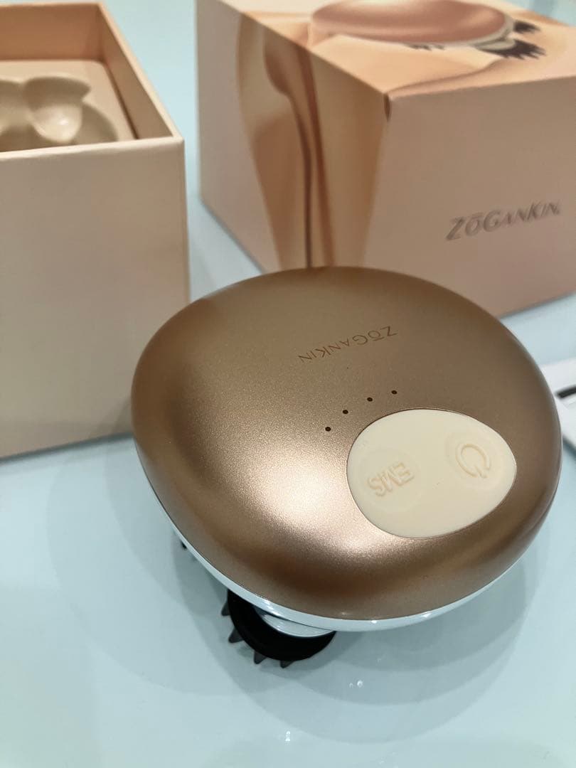 ゾーガンキン　スカルプ