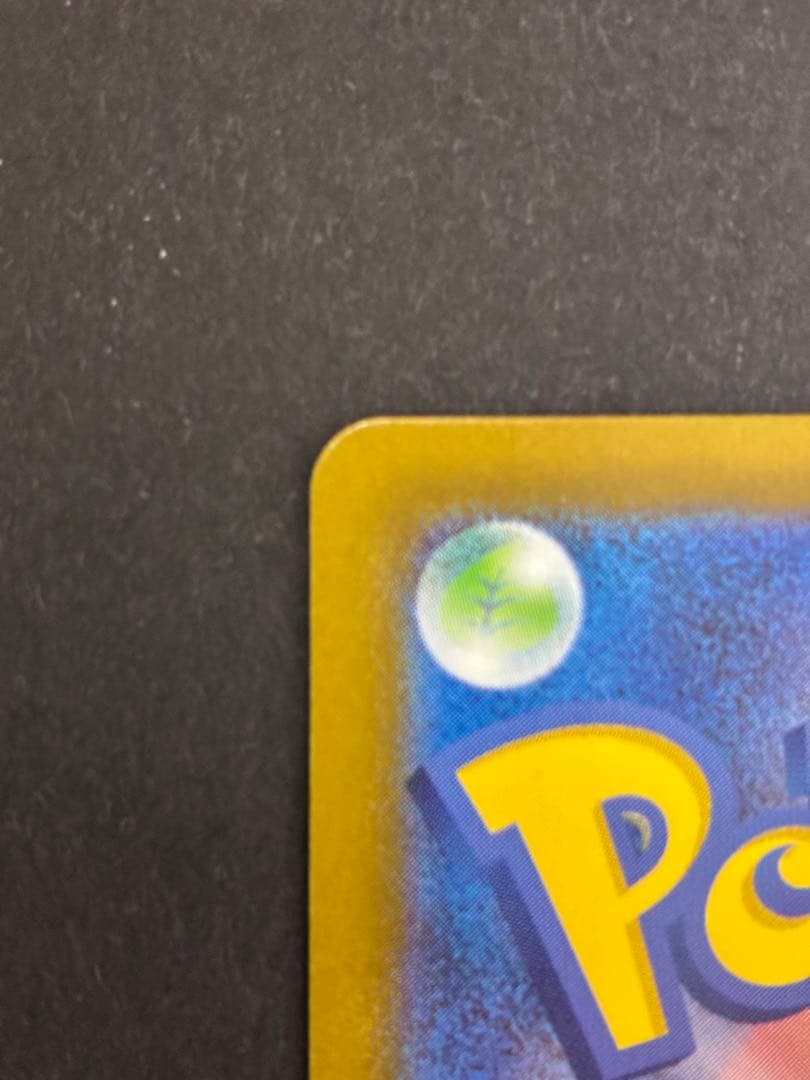 ポケモンカード メガリザードンX ex 110/080 SAR