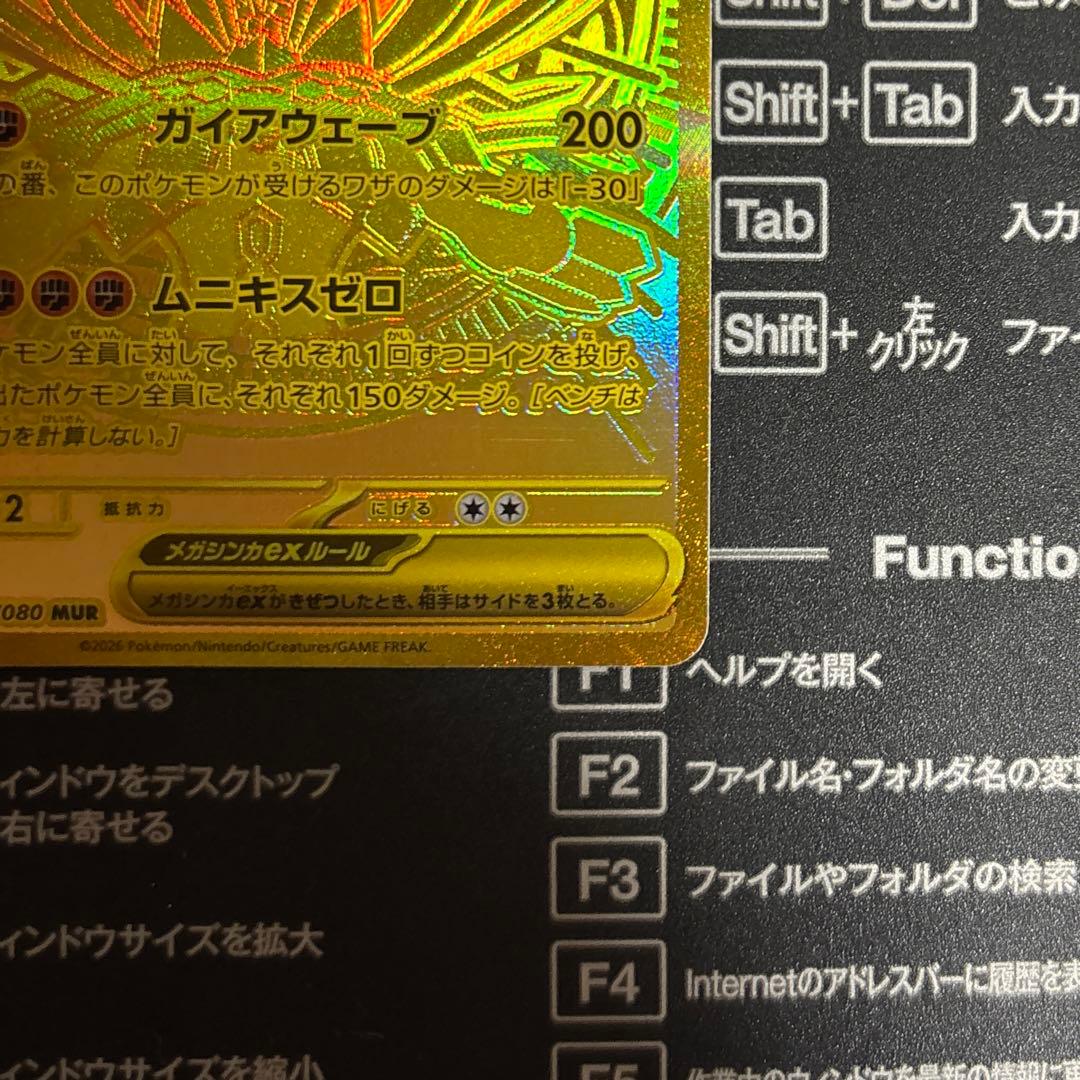 メガジガルデ MUR