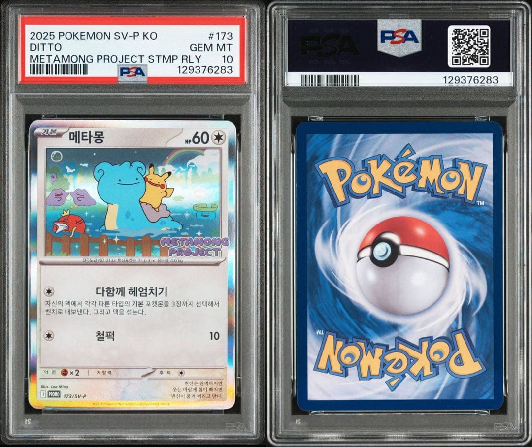 メタモン SV-P 173 psa10 韓国 プロモ