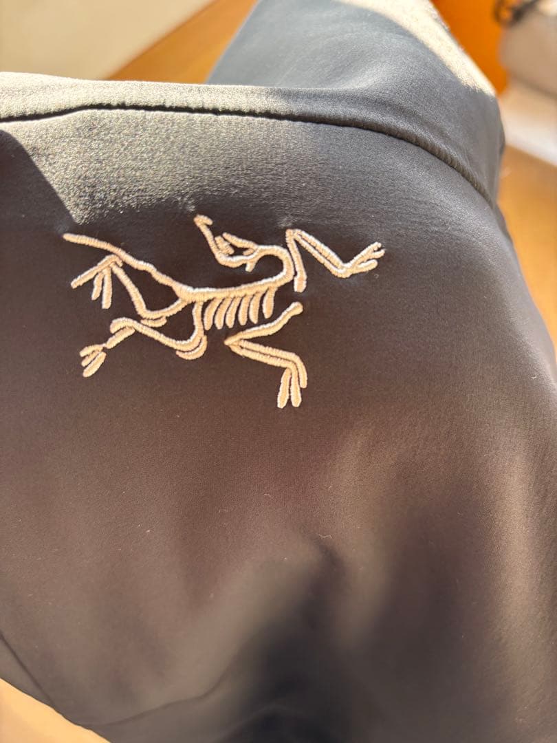 ⭐️早い者勝ち⭐️ ARC’TERYX Gamma MX （タグ欠損あり／XL）