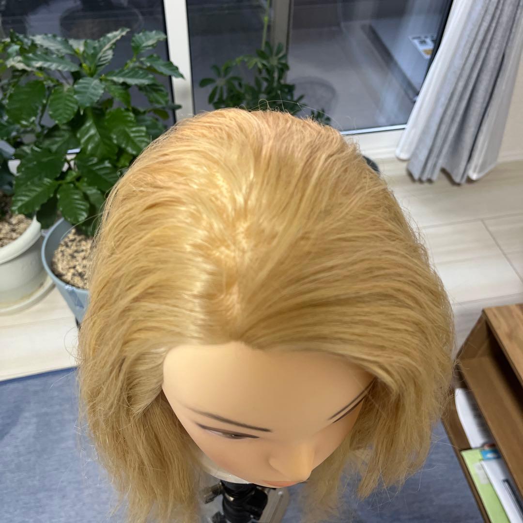 アップ練習ウィッグ　ヘアセット用ウィッグ(カットも可) 美容師必見