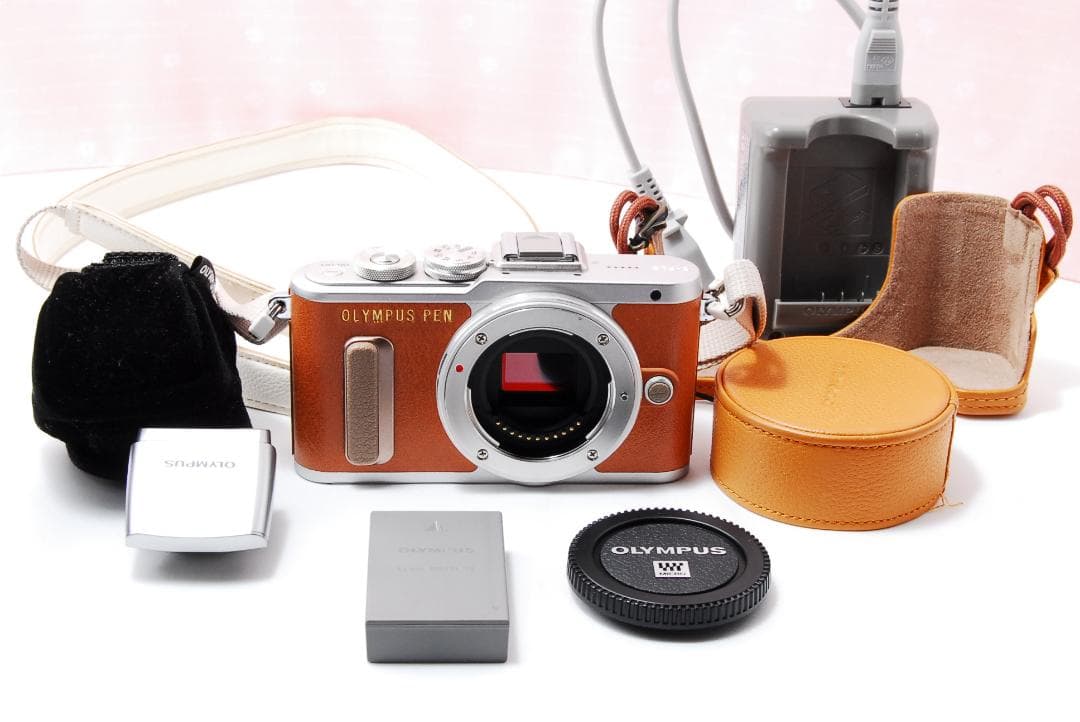 〓シャッター数2536枚〓オリンパス PEN E-PL8 ボディ ミラーレス