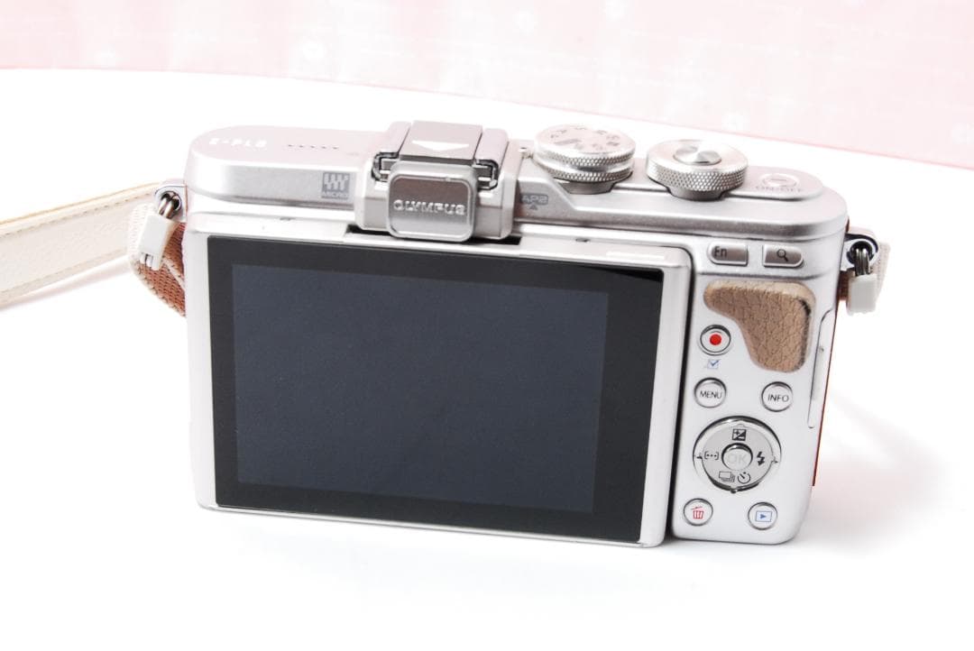 〓シャッター数2536枚〓オリンパス PEN E-PL8 ボディ ミラーレス