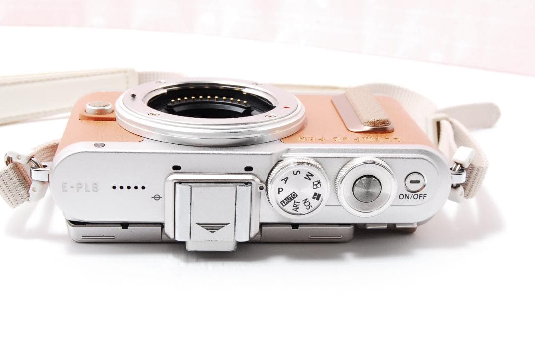〓シャッター数2536枚〓オリンパス PEN E-PL8 ボディ ミラーレス