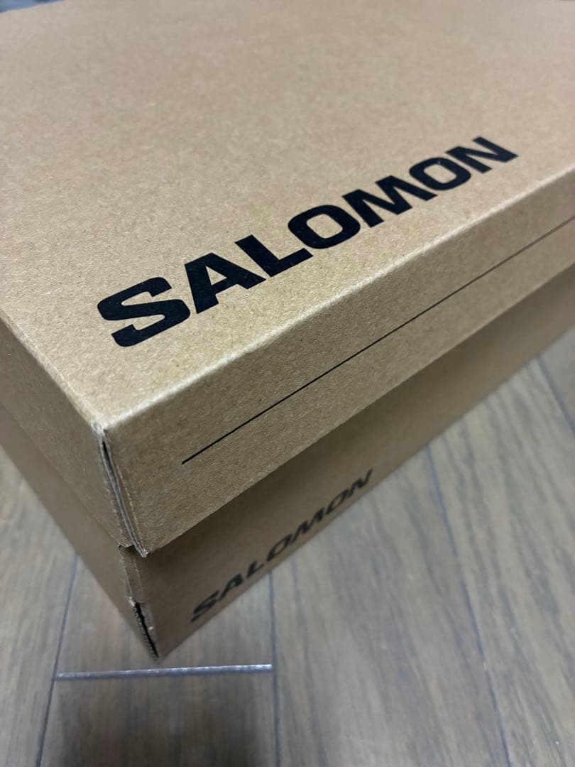 サロモン XA PRO 3D V9シューズ