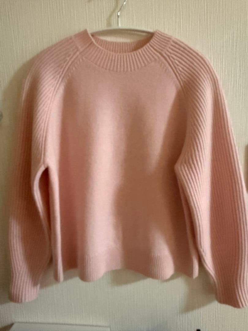 【新品】今期新作 セオリーリュクス Morbi Hunter Sweater