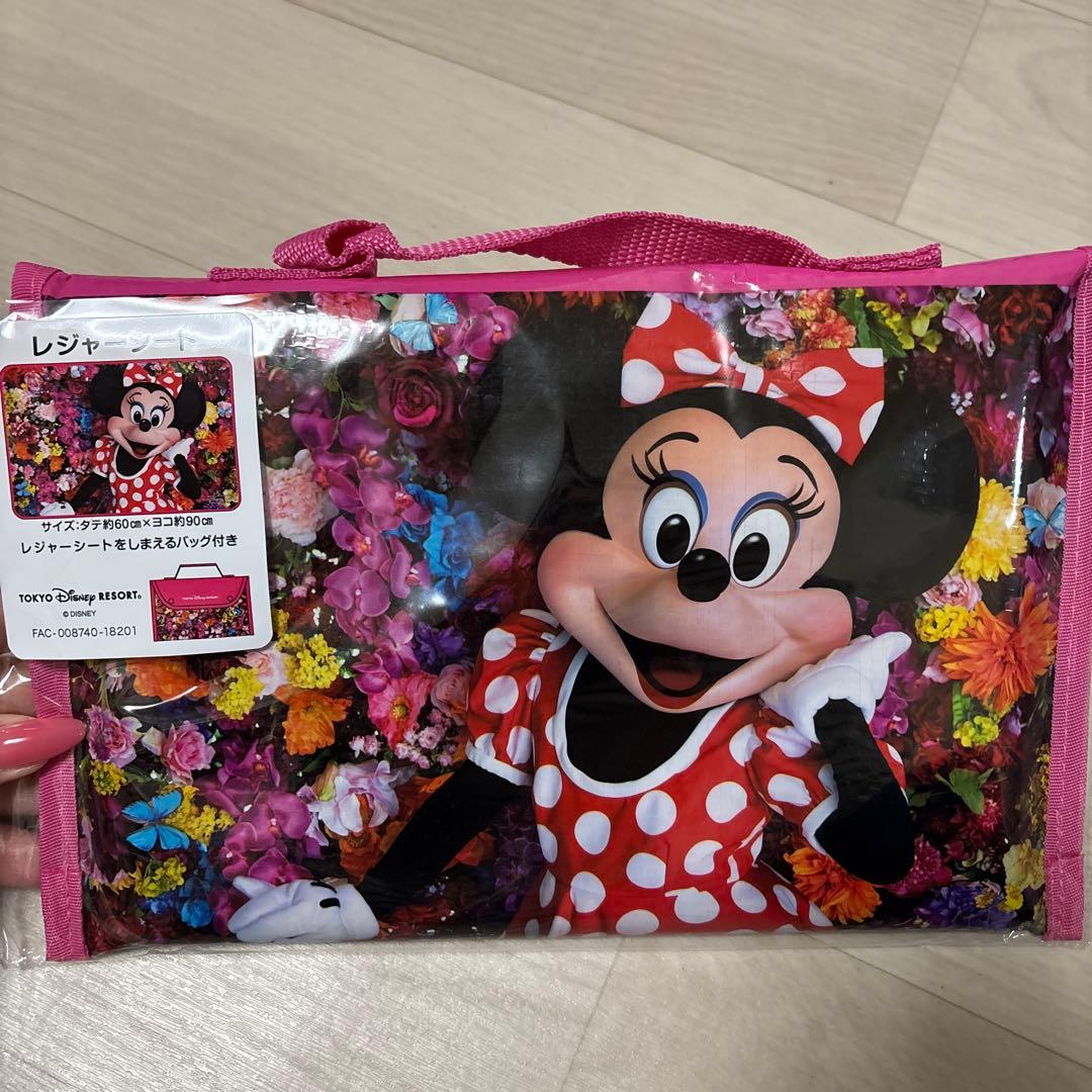 ＊mm☺︎さん専用＊ディズニー　イマジニングザマジック　グッズセット