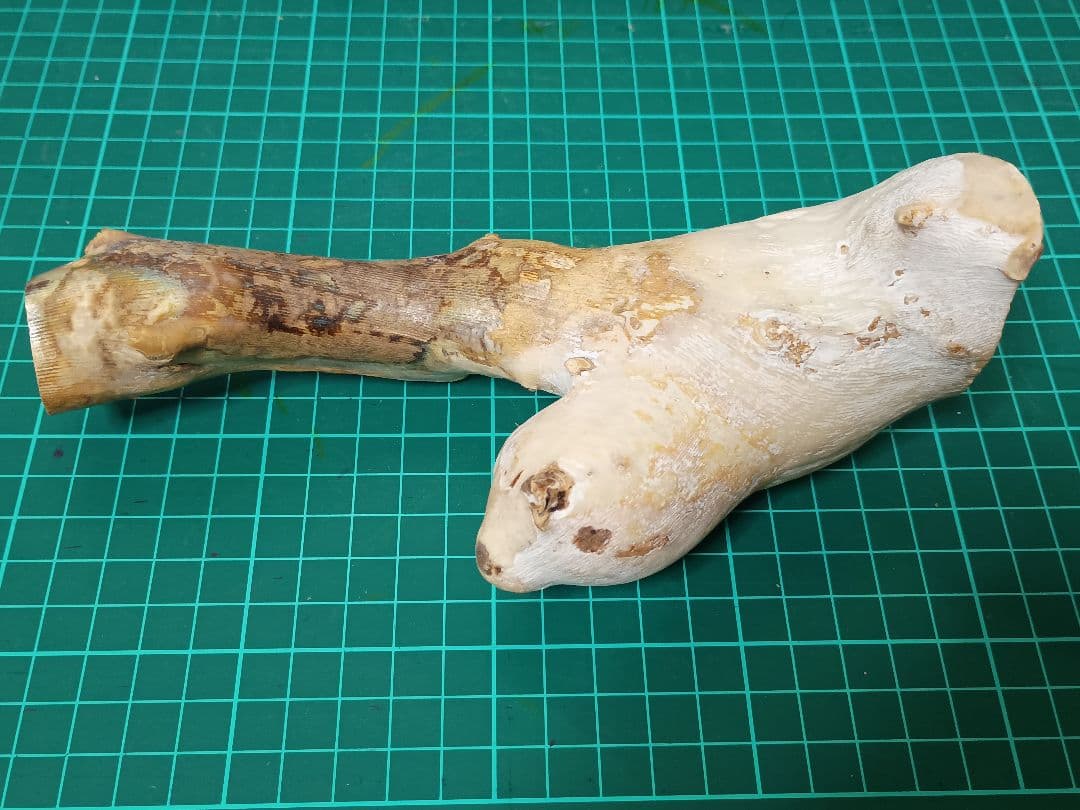 深海松　海松珊瑚　レインボーコーラル　天然素材　原木　約554g程度