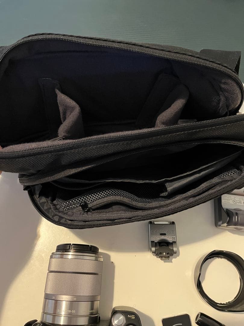 ピンクの猫　SONY NEX-5N 18-55mmレンズバッグフラッシュ