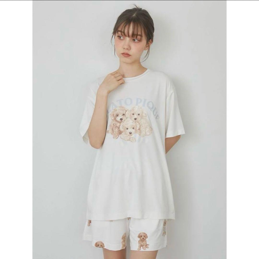 新品未使用 未開封 トイプードル ワンポイントTシャツ 総柄 ショートパンツ F
