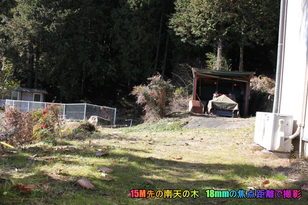 ⭐【Canon EOS 60D】プレゼント向け　初心者～中級者Wレンズセット