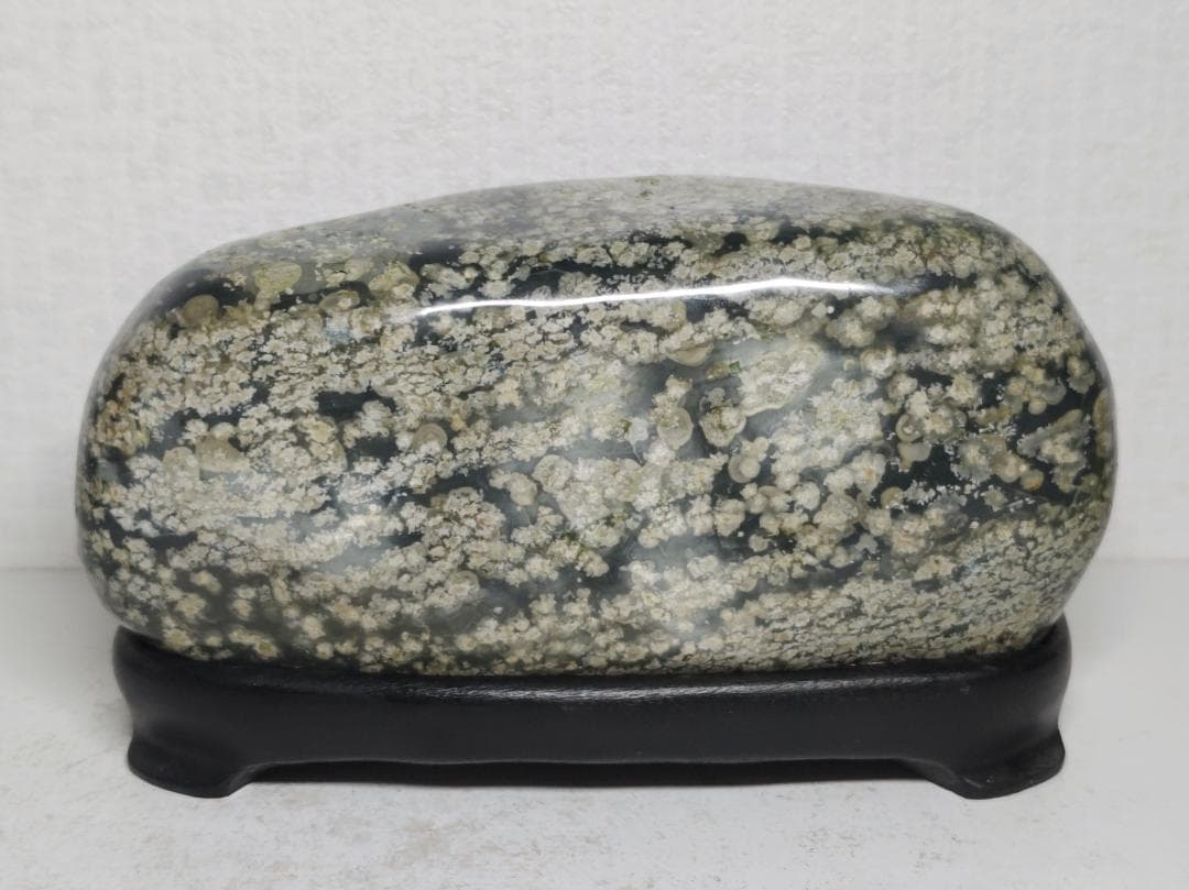 花紋石 1.8kg 錦石 菊花石 紋石 鑑賞石 原石 自然石 天然石 水石