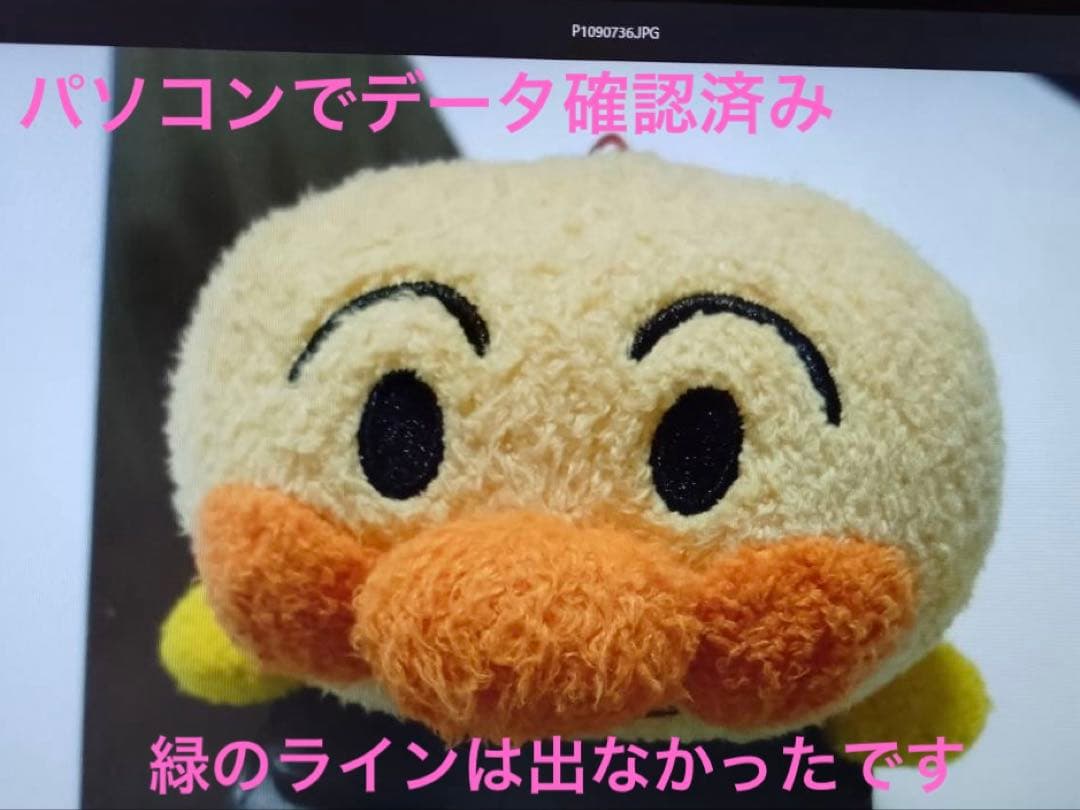 Panasonic LUMIX DMC-FX60 デジカメ ゴールド