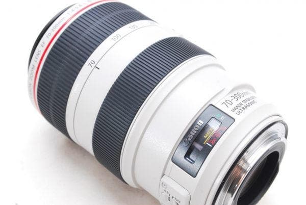 【手振れ】 キャノン EF70-300mm F4-5.6 L IS USM
