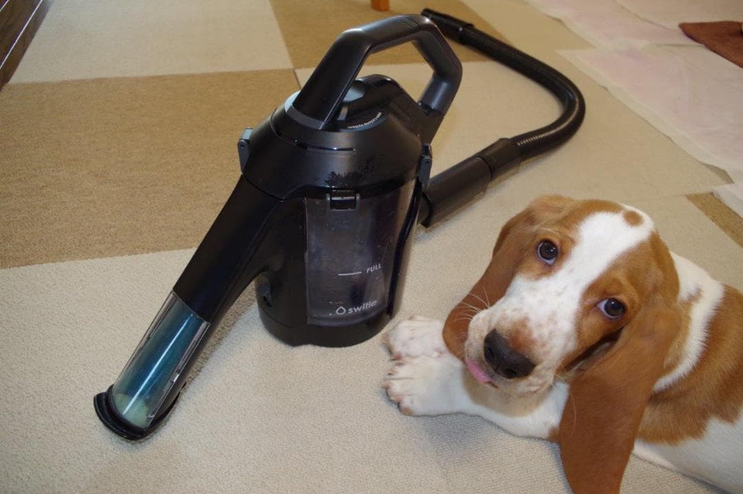 新品【未使用】水洗いクリーナーヘッド　『スイトル』