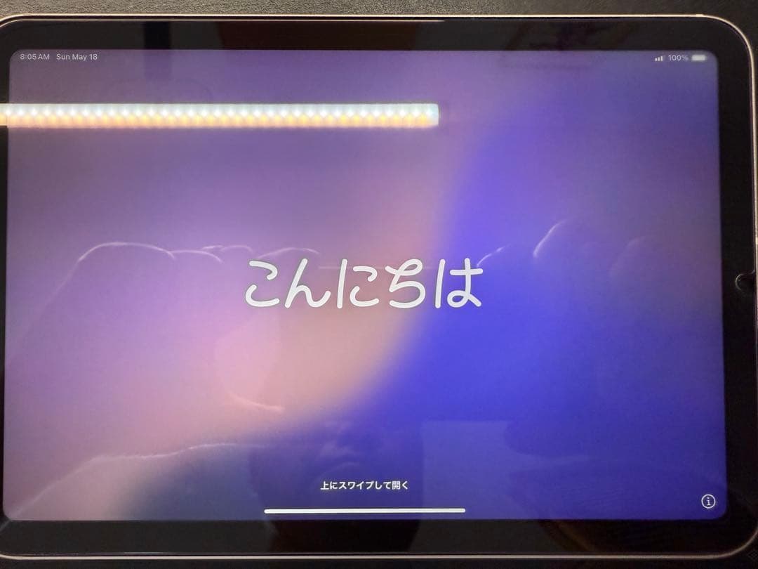 【超美品】iPad mini Wi-Fi +Cellular 256GB-ピンク