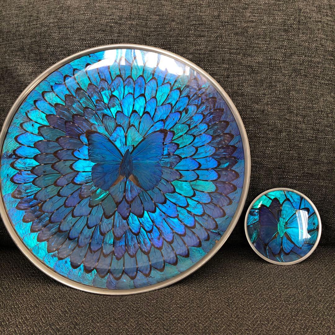 モルフォ蝶　飾り皿　標本　壁飾り　壁掛け