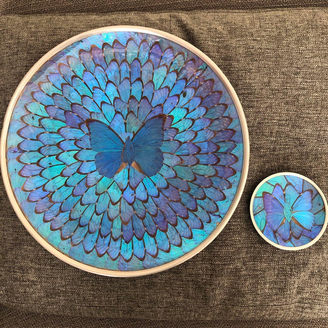 モルフォ蝶　飾り皿　標本　壁飾り　壁掛け