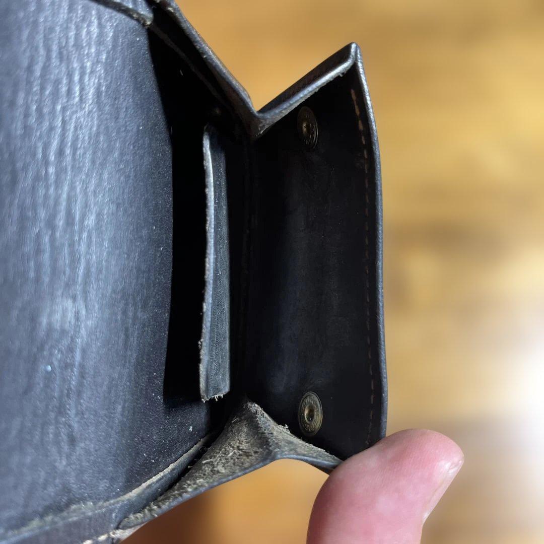 WILD SWANS タング　サドル