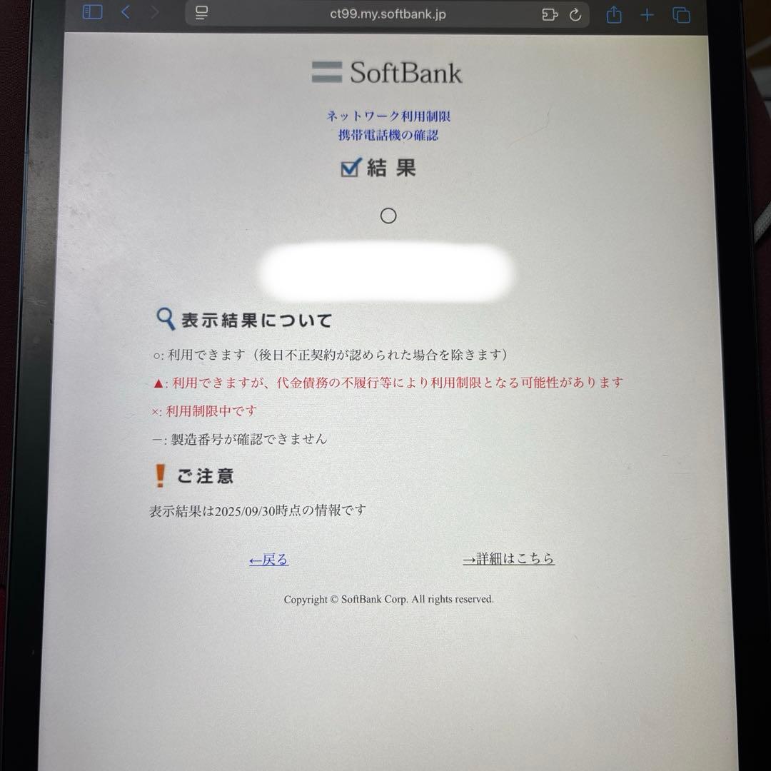 iPadPro11インチ 第2世代 WiFi＋Cellular