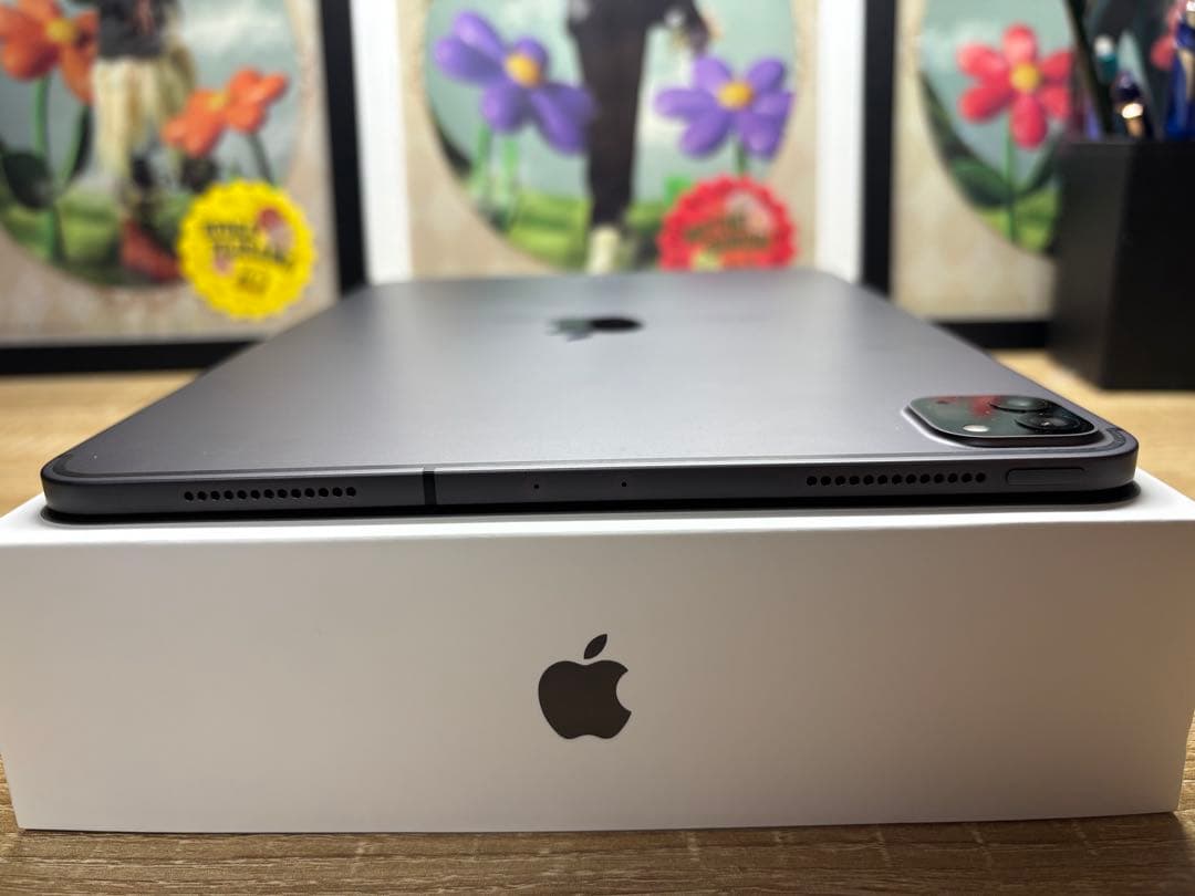 iPadPro11インチ 第2世代 WiFi＋Cellular