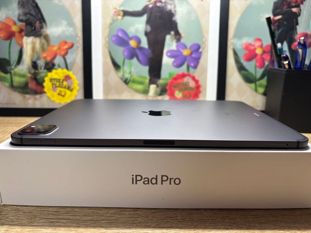 iPadPro11インチ 第2世代 WiFi＋Cellular