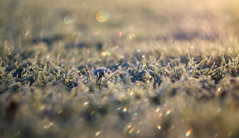 23 デッドストック　ぐるぐるボケレンズ　ヘリオス　44-2　M42アダプター付