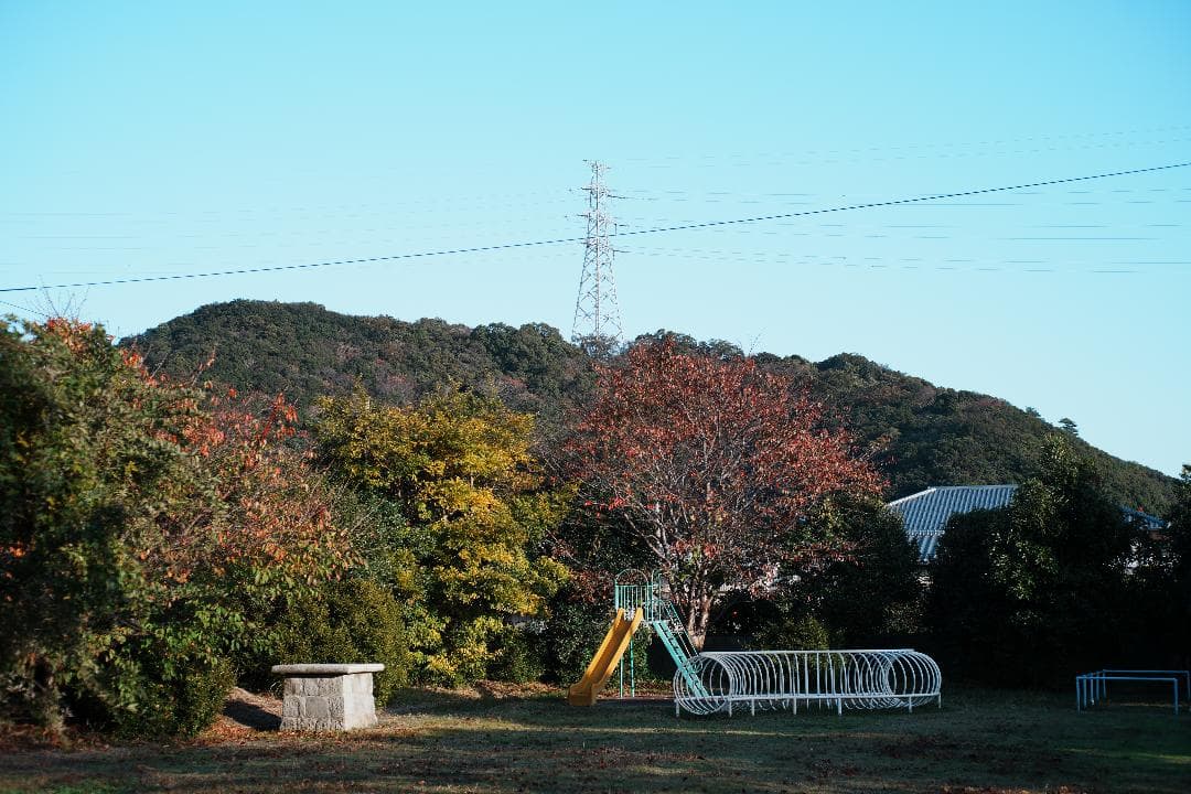 【整備＆テスト済】Minolta AF 50mm F2.8 Macro 167