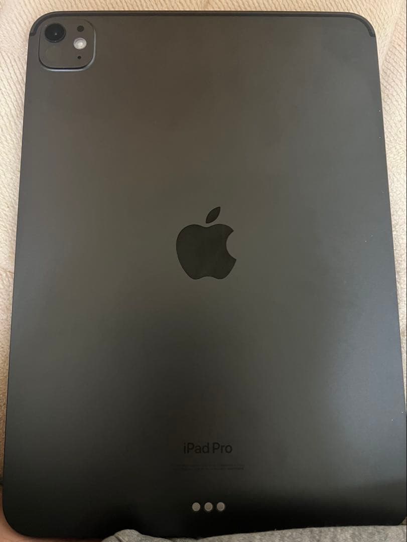 iPad Pro (M4) 第5世代11インチ 256GB