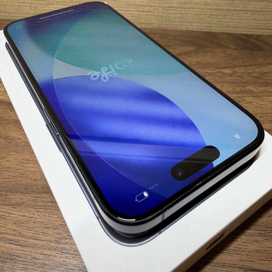 Apple iPhone 15Pro 256GB ケース付き