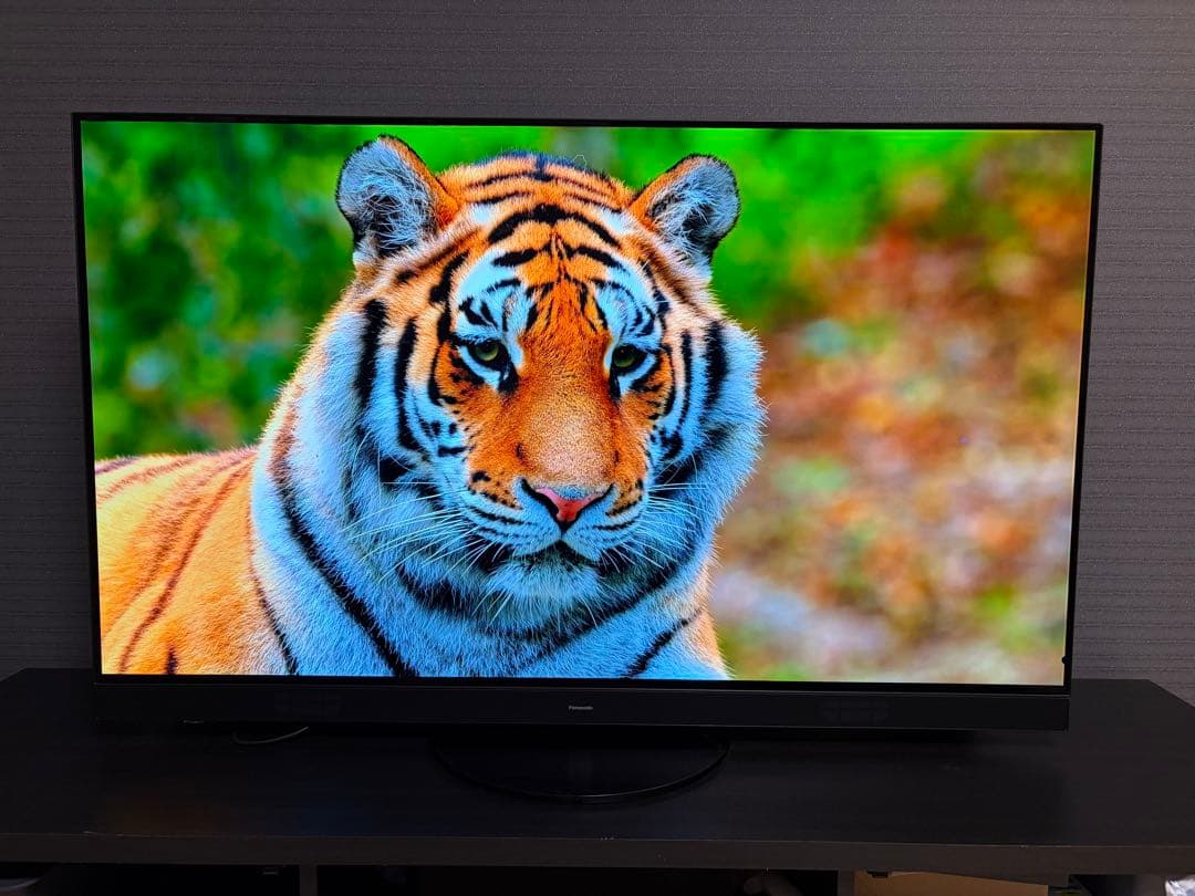 美品　パナソニック 55型 有機ELテレビ ビエラ 4K TH-55HZ1800