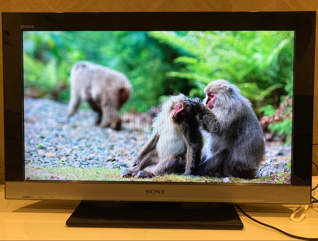 SONY BRAVIA 32型　KLD-32EX300 (美品)