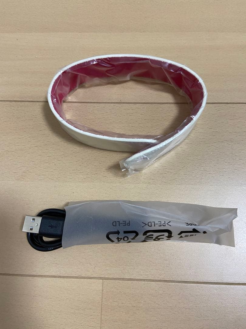 【新品 超美品】ギターアンプ Spark Mini Pearl