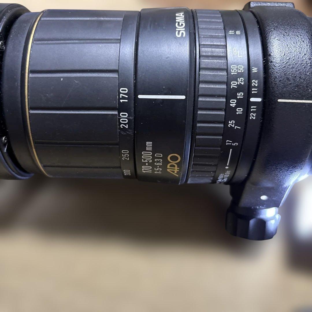 レンズ(ズーム) SIGMA 170-500mm F5-6.3 APO