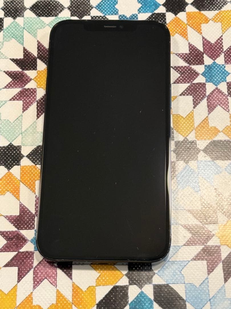 Apple iPhone 12 Pro Max本体