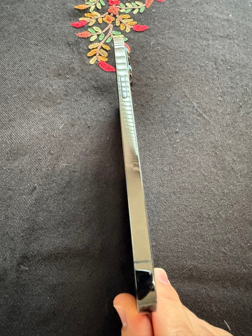 Apple iPhone 12 Pro Max本体