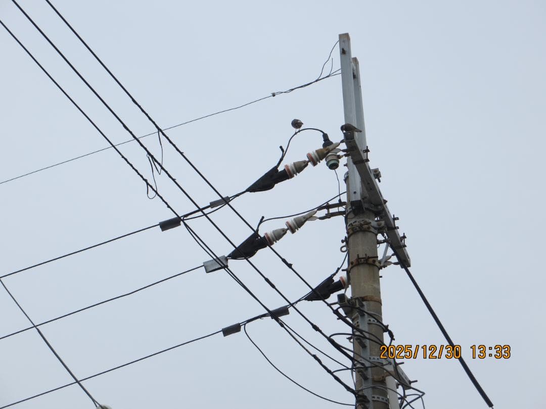 Canon PowerShot SX260 HS コンパクトデジタルカメラ