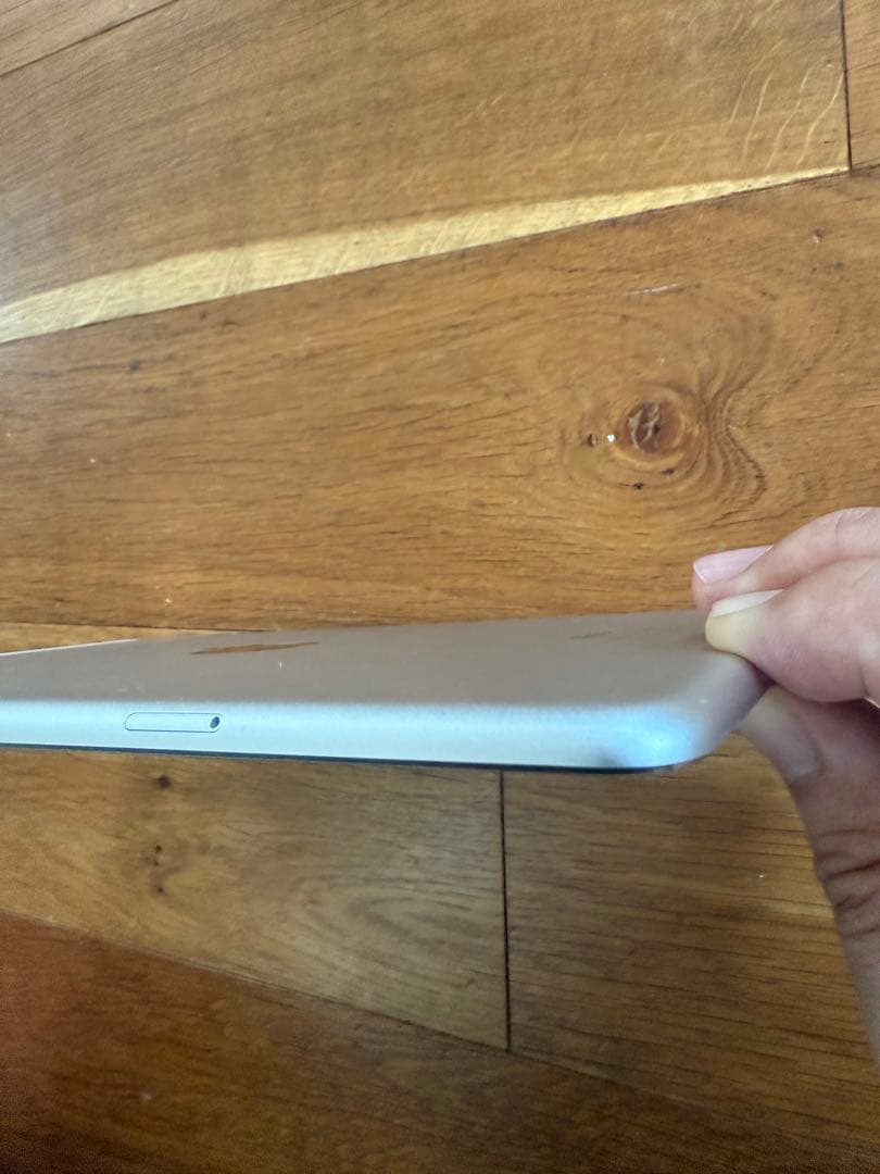 美品　iPad Air 2 WiFi + cellularモデル 16GB超