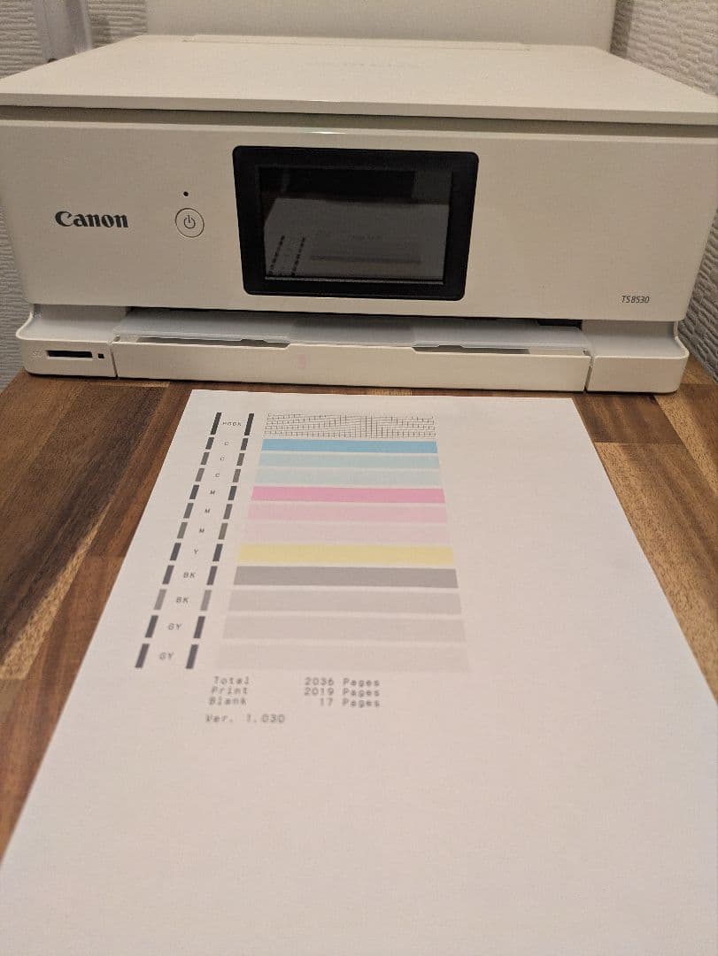 Canon PIXUS TS 8530 2040枚印刷 N8010