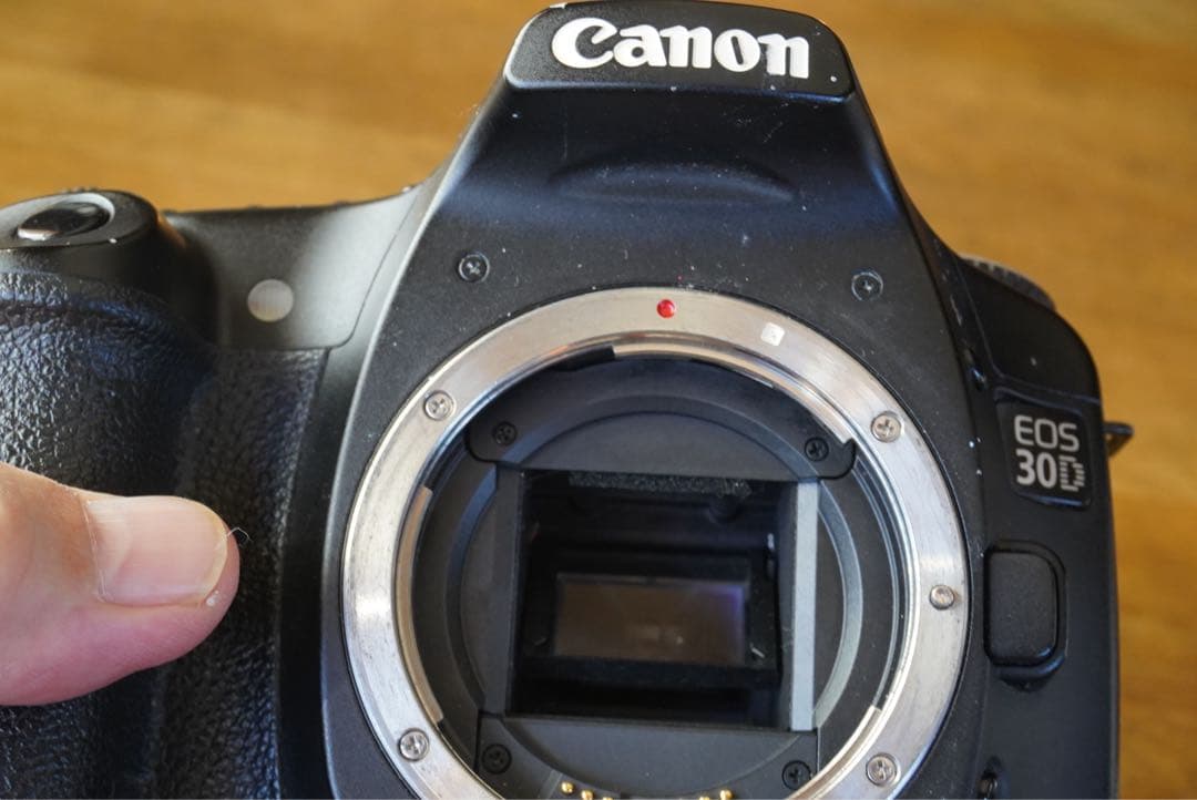 EOS30D ＋ EFS 17-85mm IS＋SIGMA100-300DL